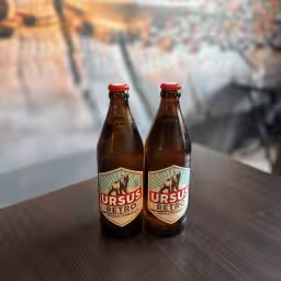 Ursus Retro