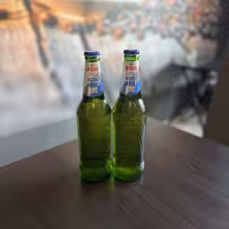 Ursus fara alcool
