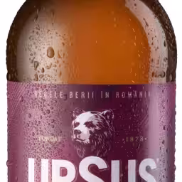 Ursus IPA 6,0% 330ml