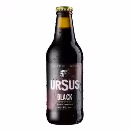 Ursus Black 6,0% 330ml