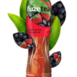 Fuzete Fructe Pădure