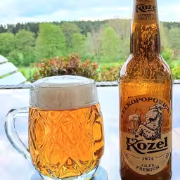 Kozel Premium 4,6% 330ml