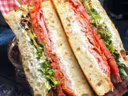 PANINI VENTRICINA (putin picant)